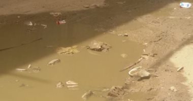 صور.. أهالى عزبة بلبل ببنى سويف يشكون من غرق الشوارع بمياه الصرف الصحى