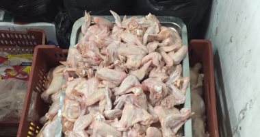 ضبط 2 طن دواجن فاسدة قبل تسليمها لأحد المطاعم الشهيرة بالقاهرة
