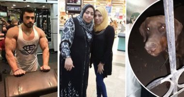 مفاجأة جديدة فى " مذبحة الرحاب".. الكلب " ببلاوى" لم يتعرض للتخدير..والجانى دخل للفيلا بصحبة أحد سكانها..النيابة: شبهة جنائية كاملة.. وإدانة الأمن الإدارى تكشف الغموض.. ورسائل الواتس أب سر يوم الوفاة