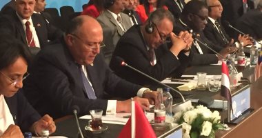 الدول الإسلامية تنتفض لدعم فلسطين.. مصر: حق الفلسطينيين بدولتهم المستقلة وعاصمتها القدس لا يسقط بالتقادم.. الأردن: نقل السفارة الأمريكية يعمق اليأس.. و"الحمدالله": قرار أمريكا حول المدينة المقدسة غير قانونى