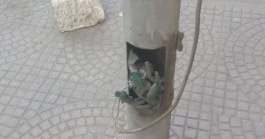 صور.. قارئ يحذر من كابلات عارية بأعمدة الكهرباء أسفل كوبرى أكتوبر بالعجوزة