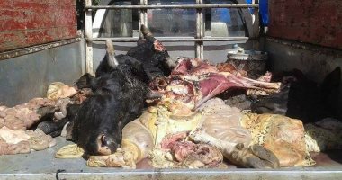 صور ضبط ٦٠٠ كيلو لحوم مذبوحه خارج المجزر وغير صالحة بكفر الشيخ 