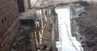 أهالى قرية كفر محمود بالمنوفية يشكون غرق المنازل بالمياه الجوفية