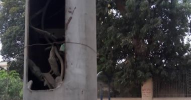 صور.. قارئ يحذر من كابلات عارية بأعمدة الكهرباء فى البطل أحمد عبد العزيز 
