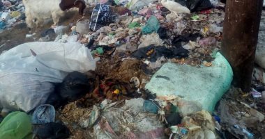 صور.. قارئ يشكو من تراكم القمامة بعزبة التل فى الزقازيق