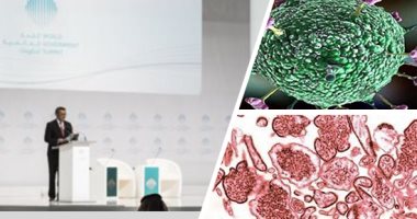 س و ج.. ما هو فيروس نيباه المصنف بالصحة العالمية ضمن الأوبئة القاتلة؟ كيف ينتقل من الحيوانات إلى البشر وما هى أعراضه وطرق الوقاية من انتشار العدوى؟ وكم تبلغ فترة الحضانة؟ ومعدلات الوفاة بسببه؟