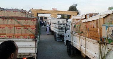 صور.. وصول قافلة المساعدات المقدمة من الأزهر إلى قطاع غزة