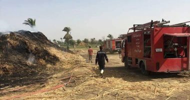 احتراق محصول بصل بأحد أراضى الدقهلية بسبب "عقب سيجارة مشتعلة"