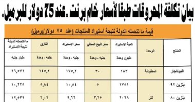 بالأرقام.. الدولة تتحمل 103.798 مليار جنيه نتيجة استيراد منتجات النفط