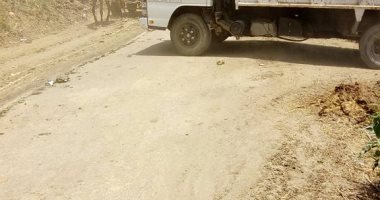 صور.. رفع كفاءة شبكة الكهرباء وتركيب أغطية بيارات بالحامول وحملة نظافة بقلين