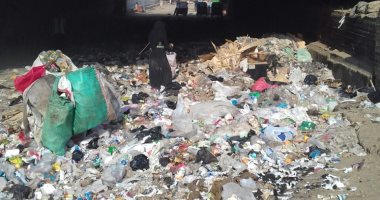 رفع 25 ألف طن مخلفات من شوارع الجيزة خلال عيد الفطر المبارك