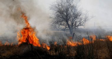 السيطرة على حريق هائل بحظيرتى ماشية فى المنوفية دون إصابات