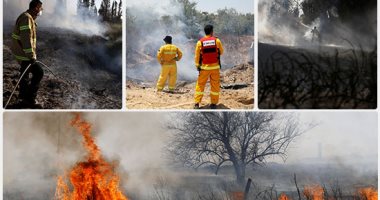 طائرات غزة الورقية تنتصر على الاحتلال وتحول مستوطناته لـ"مناطق منكوبة".. احتراق آلاف الأفدنة والجيش الإسرائيلى يفشل فى مواجهتها.. اضطراب حركة القطارات وارتفاع حالات العلاج النفسى بين المستوطنين بسبب الخوف