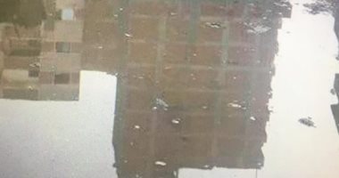 قارئ يشكو غرق شارع المزرعة بقرية منطى فى القليوبية بمياه الصرف الصحى