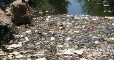 صور.. قارئ يطالب بتطهير ترعة تواتى فى الخطاطبة البلد بالمنوفية