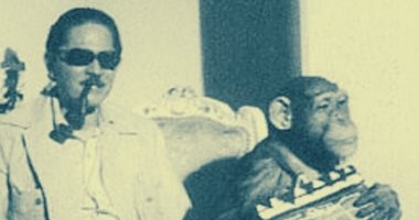 حكايات الأمن والقضاء.. نيازى مصطفى مخرج لقى مصرعه على يد قاتل غامض بالدقى