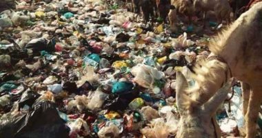 صور.. اضبط مخالفة.. انتشار القمامة فى حى غرب شبرا الخيمة
