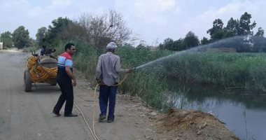 البدء فى رش اليريقيات على أسطح المجارى المائية ببنها