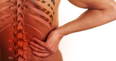 اعرف جسمك .. ما هى أعصاب ذيل الحصان وكيف تتحكم فيك؟