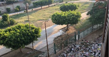 قارئ يشكو تراكم القمامة بشارع الجبلاية فى حلوان