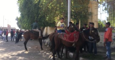 فيديو وصور.. ركوب الخيل والموتوسيكلات.. مظاهر احتفالات العيد في أسيوط  