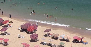 صور.. حملات على شواطئ وكافيهات الإسكندرية لضبط الأسعار ومراقبة الأسواق 