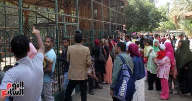مطالب برلمانية بمساهمة القطاع الخاص والبنوك بإعادة إحياء حديقة الحيوان بالجيزة