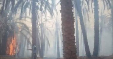 نفوق 6 رؤوس ماشية فى حريق داخل حظيرة بالمحلة