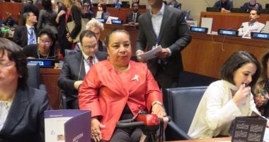 النائبة هبة هجرس: تمكين المرأة فى بعض المناصب يدل على القيادة الواعية
