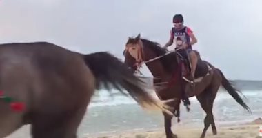 "الزراعة" دفعة جديدة من الخيول العربية تسافر الى الأردن السبت المقبل