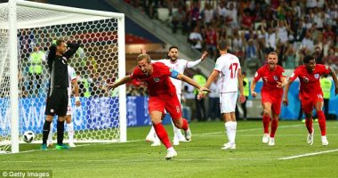 "شباب الأسود".. ناشر بريطانى يوثق إنجازات إنجلترا فى كأس العالم 2018
