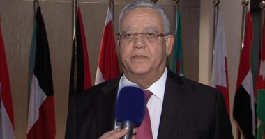 مفوضية الدستورية تؤجل دعوى بطلان مواد البلطجة لجلسة 8 يوليو المقبل للمذكرات