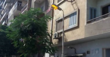 صور.. قارئ يرصد إضاءة أعمدة الكهرباء نهارا فى شارع محمد خلف بالزيتون