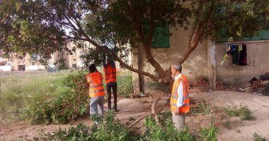 صور.. قيادات رئاسة مركز الخارجة تستكمل مبادرة تنظيف أحياء المدينة