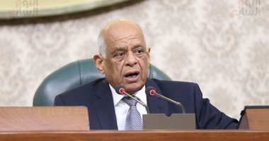 على عبدالعال: استثناء جهات من قانون المناقصات لا يعنى عدم خضوعها للرقابة