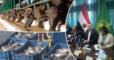 وزير الزراعة من القليوبية: توفير الأعلاف بأسعار مخفضة لصغار المستثمرين.. أبوستيت: إقامة أول مشروع للثروة السمكية ببحيرة عرب العليقات.. وإقامة مزارع حيوانية للشباب.. نستعين بوزارة الاتصالات لعمل منظومة إلكترونية