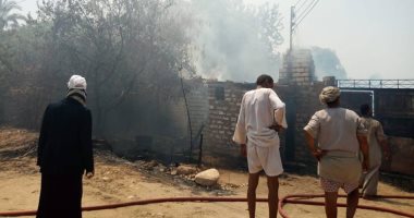 صور.. السيطرة على حريق أشجار النخيل وأحواش ماشية بمدينة البياضية بالأقصر
