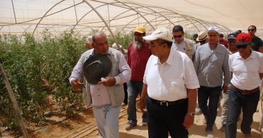 صور.. تفاصيل زيارة وزير الزراعة ونائبته منى محرز وفريق علمى لمشروع الـ20 ألف فدان فى المنيا.. عز أبوستيت: المشروع تعرض لظروف بيئية صعبة ولا نشكك فى إخلاص العاملين وإدارته.. ويؤكد: تقرير لمراجعته خلال 5 أيام