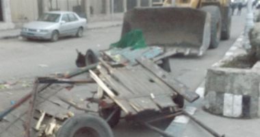 محافظة القاهرة: القضاء على 80% من ظاهرة "عربات الكارو"