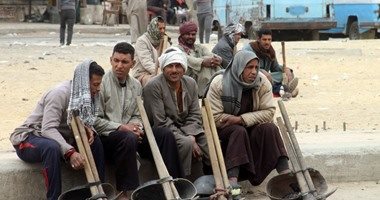 قوى عاملة القليوبية تعلن صرف منحة عيد الأضحى لـ1200 من العمالة الموسمية