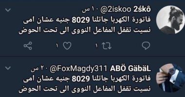 "يموت الإخوانى وشائعاته بتجرى".. 8 آلاف جنيه فاتورة كهرباء موحدة لأعضاء الإرهابية
