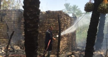 صور .. السيطرة على حريق اندلع أرض زراعية فى السويس بسبب الموجة الحارة