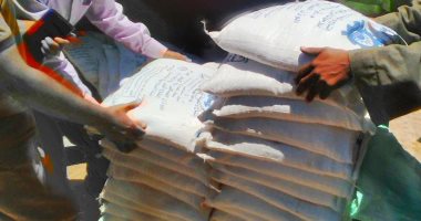 ضبط 11 طن ملح طعام فى حملة تموينية بالغربية