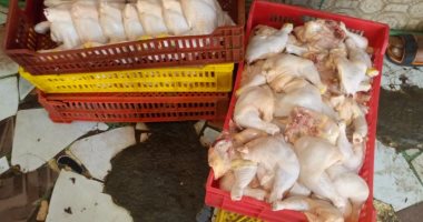 صور.. ضبط 410 كيلو دواجن داخل مجزر غير صالحة للاستخدام الآدمى بحلوان  