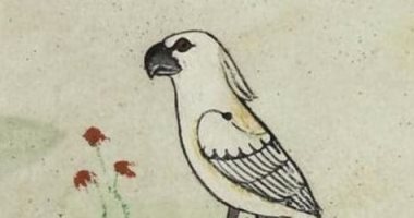 اكتشاف رسومات أوروبية لـ"بغبغاء" فى كتاب عمره 800 عام.. وباحثون: أهداه سلطان مصر لفريدريك الثانى