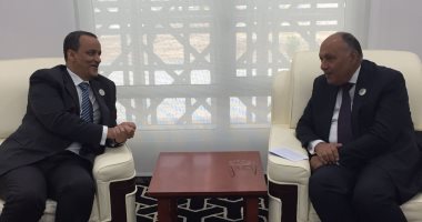 سامح شكرى يبحث مع وزير خارجية موريتانيا عقد اجتماعات الدورة الثانية للجنة المشتركة