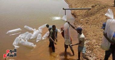 صور.. إطلاق الزريعة فى أول مزرعة سمكية بالوادى الجديد على مساحة 25 فدان