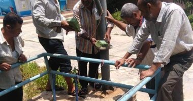 صور .. توقف محطة تنقية مياه بالسويس لعدة ساعات بسبب سقوط سيارة بضائع