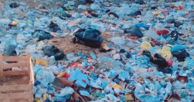 شكوى من تراكم القمامة بأبو زعبل البلد فى القليوبية