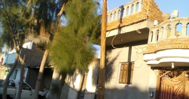 شكوى من تهالك أعمدة الإنارة بعزبة أبو يوسف بكفر الشيخ